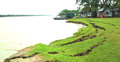 বর্ষার আগেই বিষখালীতে ভাঙন