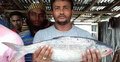 এক ইলিশের দাম সাড়ে ৯ হাজার টাকা