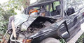 গাছের সঙ্গে জিপ গাড়ির ধাক্কা, চালক নিহত