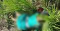 ধানক্ষেতে নারীর হাত-পায়ের রগ কাটা লাশ