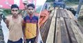 ট্রাক ভর্তি অবৈধ কাঠসহ আটক দুই