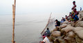 পদ্মায় বড়শি দিয়ে মাছ ধরার হিড়িক