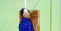 আবাসিক হোটেলে যুবকের ঝুলন্ত মরদেহ