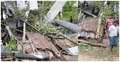 কুমিল্লায় ঘূর্ণিঝড়ে ঘর-বাড়ি বিধ্বস্ত