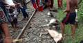 ট্রেনে কাটা পড়ল ১৯টি ছাগল