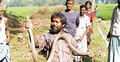সাপ ধরতে গিয়ে মারা গেলেন সাপুড়ে