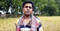 কৃষকের ধান কেটে দিলেন কৃষি অফিসার