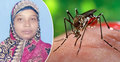 মাদারীপুরে ডেঙ্গুতে আরও এক নারীর মৃত্যু