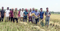 বিনা পারিশ্রমিকে সেই কৃষকের ধান কেটে দিলেন শিক্ষার্থীরা