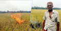 ধানের দাম কম হওয়ায় ক্ষেতে আগুন ধরিয়ে দিলেন কৃষক