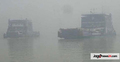 ঘন কুয়াশায় দৌলতদিয়া-পাটুরিয়ায় ফেরি বন্ধ