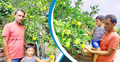লিটনের ছাদ বাগানে ৩০ ধরনের ফল