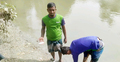পুকুরে জাল ফেলতেই উঠে এলো ৮ ইলিশ