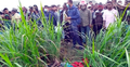 রাজবাড়ীতে নিখোঁজের তিনদিন পর কিশোরের মরদেহ উদ্ধার