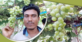 যশোরে আঙুর চাষে সফল মহাসিন আলী