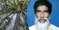নারিকেল গাছের মাথায় উঠে মারা গেলেন কৃষক