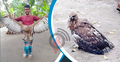 ফরিদপুরে আহত বাজপাখি উদ্ধার