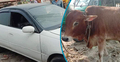 প্রাইভেটকারে করে গরু চুরি, ধরা চোর