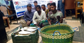 নিষেধাজ্ঞা অমান্য করে ইলিশ শিকার, ৩৯ জেলে আটক