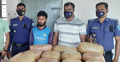 কুমিল্লায় ৬৬ কেজি গাঁজাসহ মাদক কারবারি গ্রেফতার