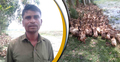 হাঁস পালন করে মাসে দেড় লাখ টাকা আয়