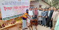 লক্ষ্মীপুরে গরুর বাছুর পেলেন ২০ জেলে
