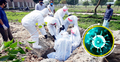 কুমিল্লায় করোনায় আরও ৪ জনের মৃত্যু, নতুন শনাক্ত ৪১