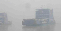 ঘন কুয়াশায় দৌলতদিয়া-পাটুরিয়ায় ফেরি চলাচল বন্ধ