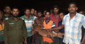 বাঘের থাবা খেয়ে লোকালয়ে মায়া হরিণ, দেওয়া হচ্ছে চিকিৎসা