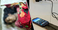ফোন চার্জ দিতে গিয়ে প্রাণ গেল কিশোরীর