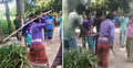 গাছে বেঁধে মাদরাসার ছাত্রকে নির্যাতন