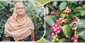 কফি ও ড্রাগন চাষে চমকে দিয়েছেন খাদিজা