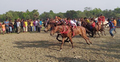 ঘোড়দৌড় দেখতে গিয়ে ঘোড়ার পায়ের আঘাতে বৃদ্ধের মৃত্যু