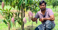 দেশে ফিরে মিশ্র ফলের বাগানে কোটিপতি মাফি