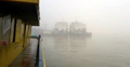 সকালের কুয়াশায় দৌলতদিয়ায় ফেরি চলাচল ব্যাহত