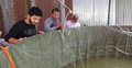 করোনায় বসে না থেকে মাছচাষ, সফল নুরুজ্জামান