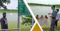মাছ চাষকে পেশা হিসেবে নিয়েছেন শাখাওয়াত