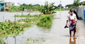 ফরিদপুরে বন্যায় ভেসে গেছে মাছ, ৪ কোটি টাকার ক্ষতি