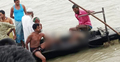 নৌকার ইঞ্জিনে গলার গামছা জড়িয়ে মাঝির মৃত্যু