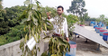 ছাদবাগানের ফল দিয়েই অতিথিদের আপ্যায়ন