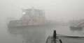 ঘন কুয়াশায় শরীয়তপুর-চাঁদপুর নৌরুটে ফেরি চলাচল বন্ধ