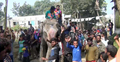 হাতিতে চড়ে ইউপি মেম্বারের বিজয় মিছিল
