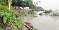 এক সপ্তাহে ১৫ পরিবারের ভিটেমাটি গেলো ব্রহ্মপুত্রের পেটে