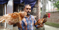 সংগ্রহে ৪০ প্রজাতির বিদেশি মুরগি, নাম লেখাতে চান গিনেসে