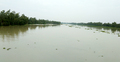 জামালপুরে বিপৎসীমার ওপরে যমুনার পানি, ফসলি জমির ক্ষয়-ক্ষতি