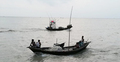 করোনা ঝুঁকি নিয়ে মেঘনায় নেমেছে অর্ধ লক্ষাধিক জেলে