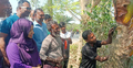 যশোরে খেজুর গাছ কাটার প্রশিক্ষণ
