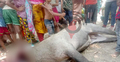 নীলগাই ধরে জবাই করলো এলাকাবাসী
