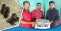 সিরাজগঞ্জে মেছো বাঘের ৪ বাচ্চা উদ্ধার