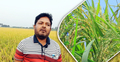 বিশ্ববিদ্যালয় পড়া শেষে ধান চাষে সফল মুরাদ